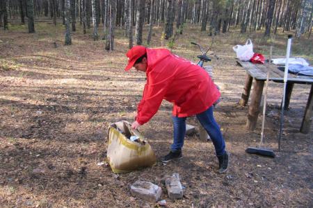 Брянские комсомольцы провели субботник возле памятника воинам Великой Отечественной войны