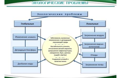 В.И. Кашин: "Мы ответственны перед будущими поколениями"