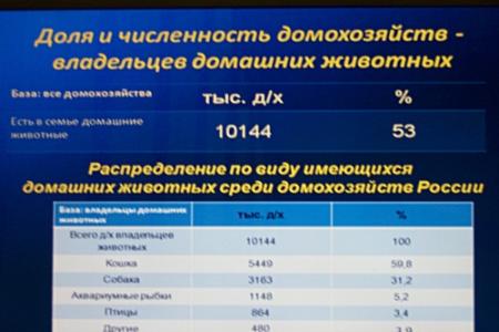 Коммунисты Татарстана на круглом столе обсудили вопросы регулирования правил содержания домашних животных