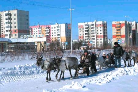 «Мы поедем, мы помчимся на оленях утром ранним…». Якутские коммунисты решают проблемы северных народов 