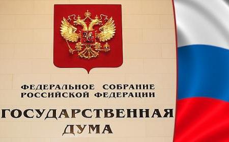 Итоги 2013. Мониторинг активности представителей различных фракций в ходе пленарных заседаний Думы 