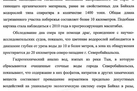 «Единая Россия» в Госдуме отклонила важное протокольное поручение Межфракционной группы «Байкал» в защиту священного озера 