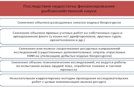 В.И. Кашин: Восстановление рыбохозяйственной отрасли остается одной из главных государственных задач