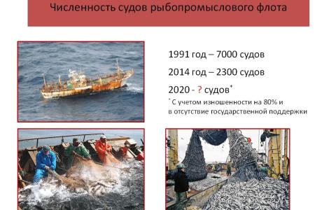 В.И. Кашин: Восстановление рыбохозяйственной отрасли остается одной из главных государственных задач
