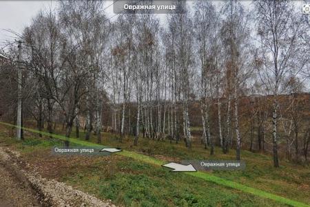 Депутат-коммунист Михаил Фёдоров борется за сохранение березовой рощи в городе-герое Туле