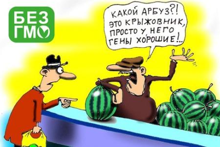 А.В. Корниенко: Распространение ГМО в России категорически не допустимо