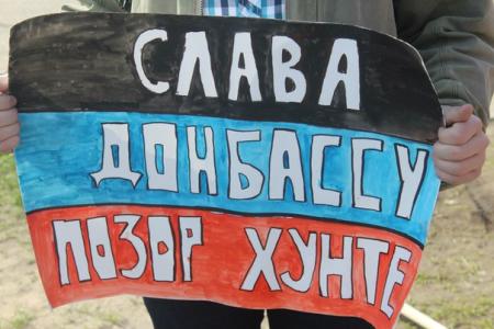Новгородская область. «Русский Лад» провел пикет в поддержку народа Юго-Востока Украины