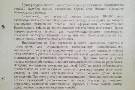 Белгородские власти преследуют депутата-коммуниста за организацию митинга в защиту соснового бора