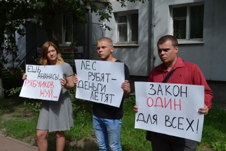 Белгородские комсомольцы провели пикет в защиту соснового бора