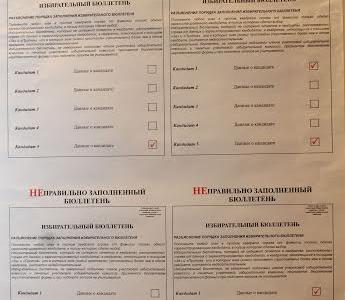 Кандидат на должность губернатора Псковской области А.А. Рогов проголосовал на избирательном участке № 71 