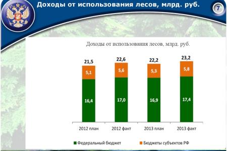 «Совершенствование лесного законодательства как ключевой фактор преодоления проблем лесного комплекса России». Доклад В.И. Кашина на лесном форуме
