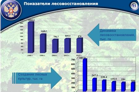 «Совершенствование лесного законодательства как ключевой фактор преодоления проблем лесного комплекса России». Доклад В.И. Кашина на лесном форуме