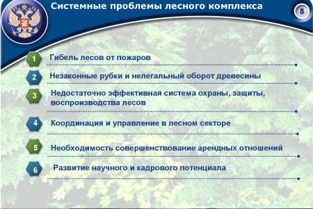 «Совершенствование лесного законодательства как ключевой фактор преодоления проблем лесного комплекса России». Доклад В.И. Кашина на лесном форуме