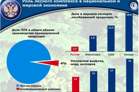 «Совершенствование лесного законодательства как ключевой фактор преодоления проблем лесного комплекса России». Доклад В.И. Кашина на лесном форуме