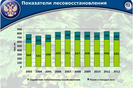 «Совершенствование лесного законодательства как ключевой фактор преодоления проблем лесного комплекса России». Доклад В.И. Кашина на лесном форуме