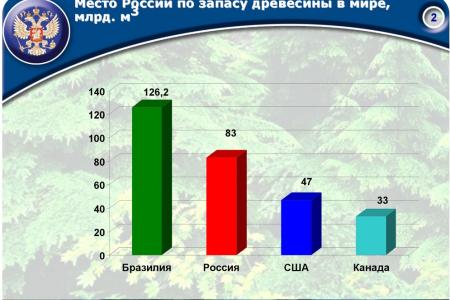 «Совершенствование лесного законодательства как ключевой фактор преодоления проблем лесного комплекса России». Доклад В.И. Кашина на лесном форуме