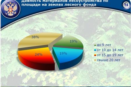 «Совершенствование лесного законодательства как ключевой фактор преодоления проблем лесного комплекса России». Доклад В.И. Кашина на лесном форуме