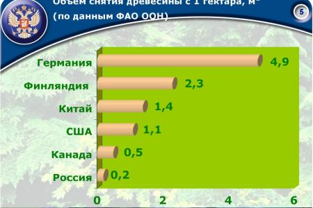 «Совершенствование лесного законодательства как ключевой фактор преодоления проблем лесного комплекса России». Доклад В.И. Кашина на лесном форуме