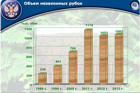 «Совершенствование лесного законодательства как ключевой фактор преодоления проблем лесного комплекса России». Доклад В.И. Кашина на лесном форуме