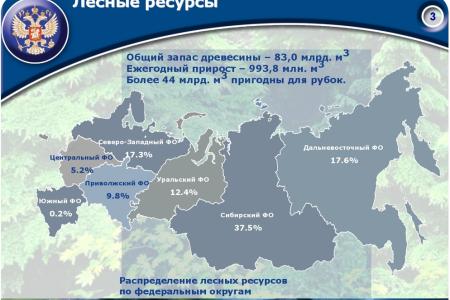 «Совершенствование лесного законодательства как ключевой фактор преодоления проблем лесного комплекса России». Доклад В.И. Кашина на лесном форуме