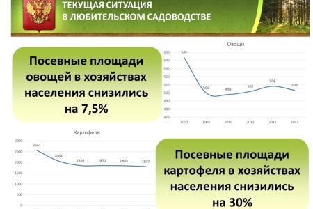 Коммунисты в Госдуме на парламентских слушаниях обсудили вопросы любительского садоводства