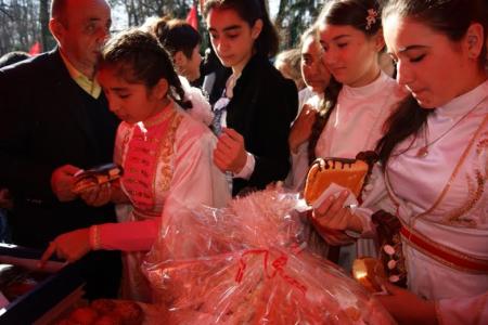 Северная Осетия. Великой революции - 97 лет!