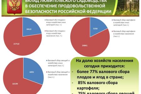 Коммунисты в Госдуме на парламентских слушаниях обсудили вопросы любительского садоводства