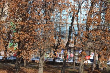 Волгоградские коммунисты отметили 72-ю годовщину контрнаступления под Сталинградом