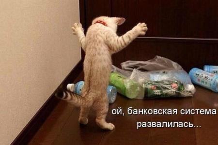 Спикер Нарышкин не поддержал требование фракции КПРФ о вызове в Думу Набиуллиной. КПРФ настаивает