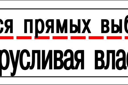 "Они боятся прямых выборов мэра... Такая трусливая власть нам не нужна!" В Краснодаре прошел массовый пикет против урезания гражданских и социально-экономических прав
