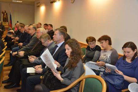Коммунисты в Госдуме провели круглый стол по проблемам использования противогололедных материалов