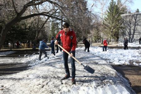 Коммунисты Новосибирска провели субботники во всех районах города