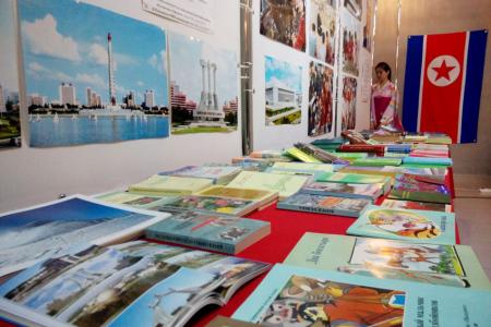 Амурская область. В Благовещенске открылась выставка к Празднику Солнца