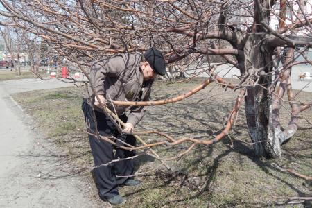 Барнаульские коммунисты в ходе субботника провели акцию «Селфи со Сталиным»