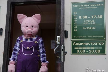 Розовый поросёнок в Липецке учил жизни управляющие компании