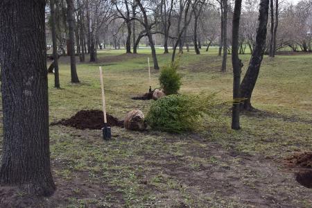 Деревьям Победы – расти! Коммунисты Москвы и их сторонники заложили Аллею Победы в парке на Поклонной горе