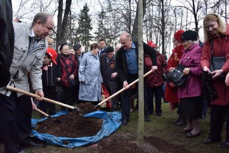 Деревьям Победы – расти! Коммунисты Москвы и их сторонники заложили Аллею Победы в парке на Поклонной горе