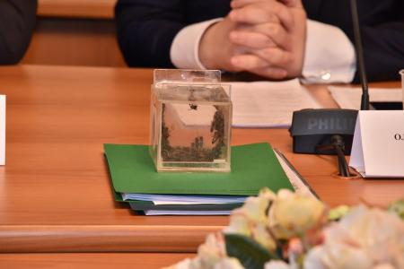 Г.А. Зюганов выступил в Госдуме на «круглом столе», посвященном экологическим проблемам пчеловодства
