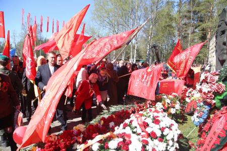 Ленинградская область: 70 лет под Знаменем Победы