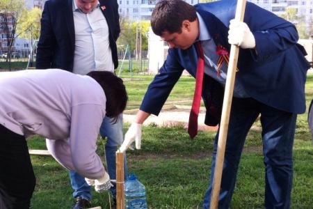 «Сирень Победы». Олег Лебедев организовал в Туле в рамках акции КПРФ посадку саженцев сирени