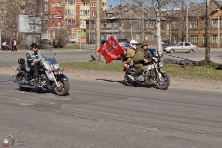 В честь 70-летия Великой Победы архангелогородцы высадили кедровую рощу