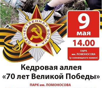 В честь 70-летия Великой Победы архангелогородцы высадили кедровую рощу