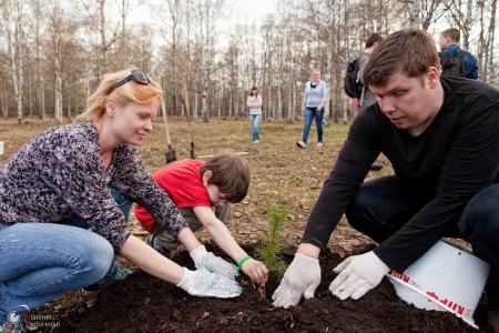 В честь 70-летия Великой Победы архангелогородцы высадили кедровую рощу