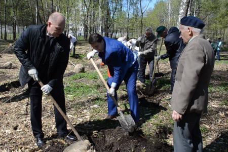 Олег Лебедев вместе с ветеранами Великой Отечественной войны посадили аллею в Центральном парке города-героя Тулы