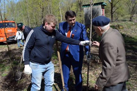Олег Лебедев вместе с ветеранами Великой Отечественной войны посадили аллею в Центральном парке города-героя Тулы