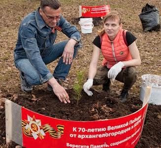 В честь 70-летия Великой Победы архангелогородцы высадили кедровую рощу