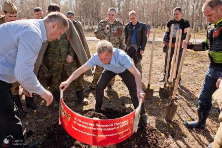 В честь 70-летия Великой Победы архангелогородцы высадили кедровую рощу