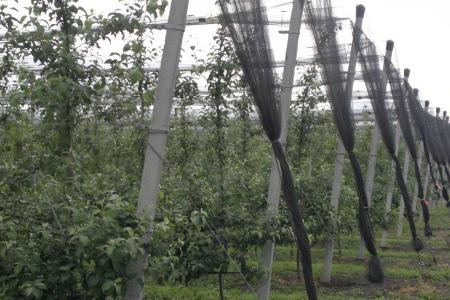 Пушкинские дни на Северном Кавказе. Фоторепортаж