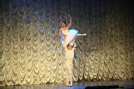 Мэр-коммунист Анатолий Локоть организовал День города-2015: «Я. Читаю. Новосибирск»