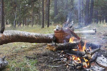 Олег Лебедев внес в Госдуму законопроект, повышающий в два раза штрафы за нарушение пожарной безопасности в лесах